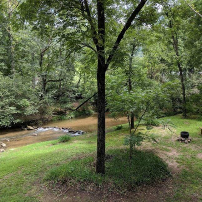 Reedy Patch Cabin Hendersonville Exterior photo